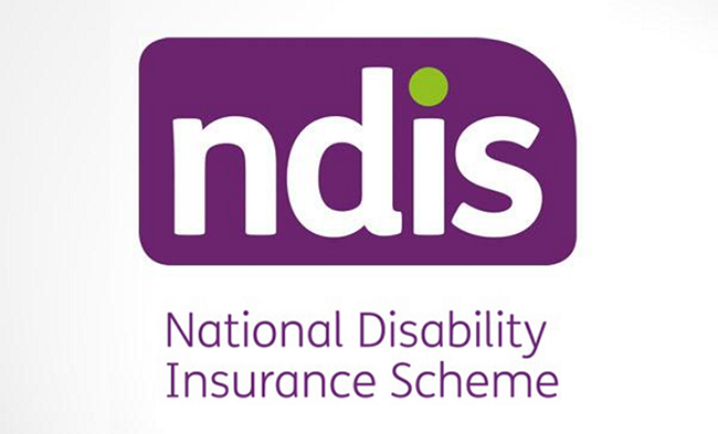 NDIS LOGO 1